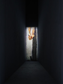 Markus Schinwald - Austrian Pavilion - 54th Venice Biennale / © Swatch
